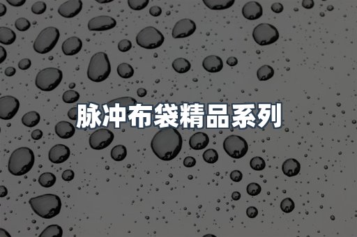 脉冲布袋精品系列