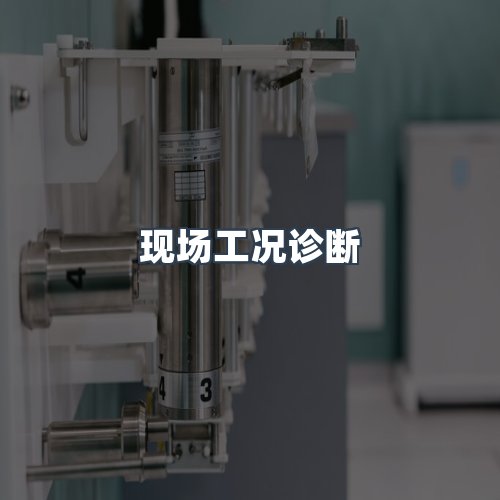服务优势